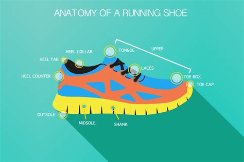 running shoe diagram.